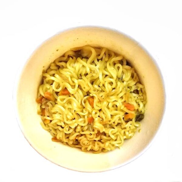 Plane Maggi